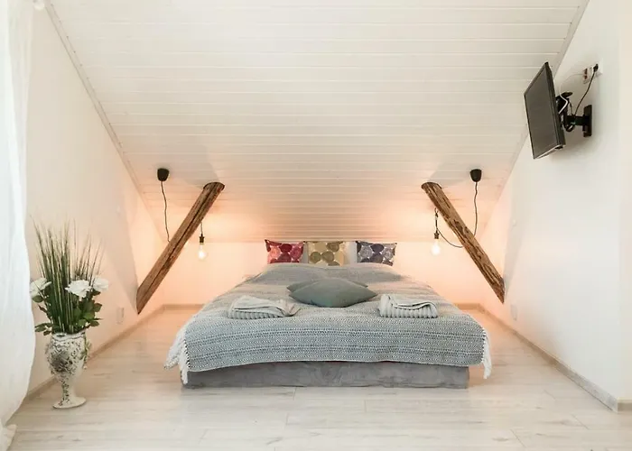 Stay- With Garden Parnu